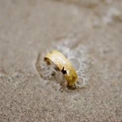 Ammonite Shell Ring Roségold