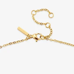 Amore Mio Bundle Gold