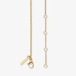 Aurelia Bundle Gold