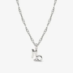 Capricorn Bubble Necklace Silber