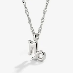 Capricorn Bubble Necklace Silber