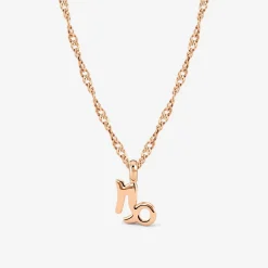 Capricorn Bubble Necklace Roségold