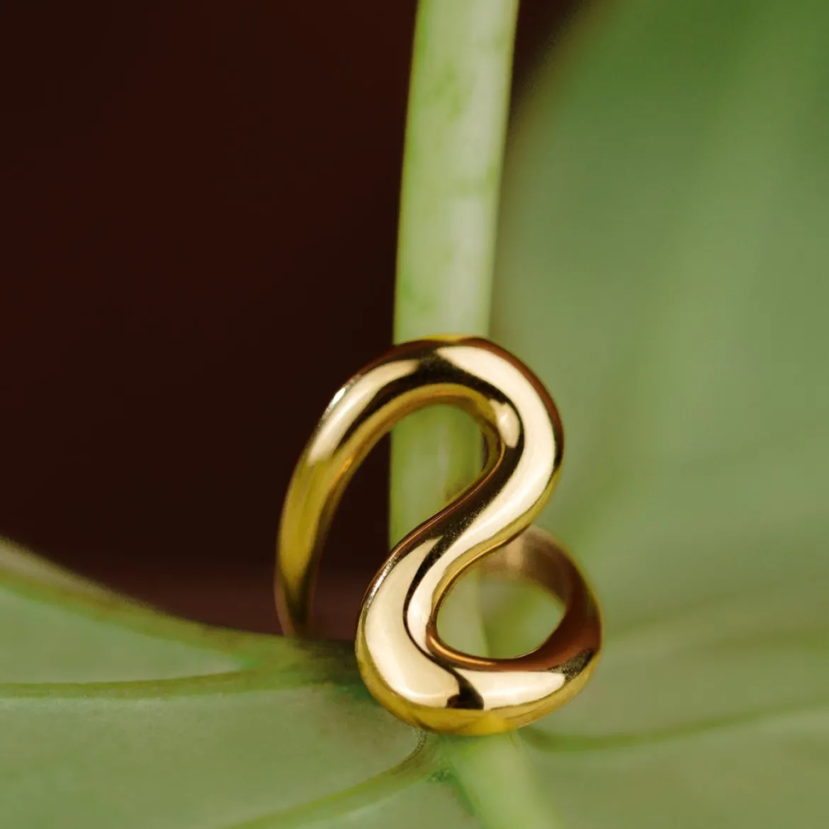 Coiled Ring Silber