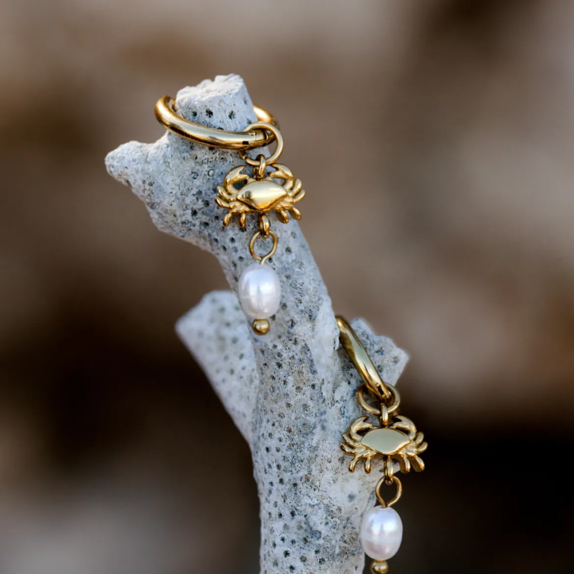 Crab Chaser Hoop Set Small Gold