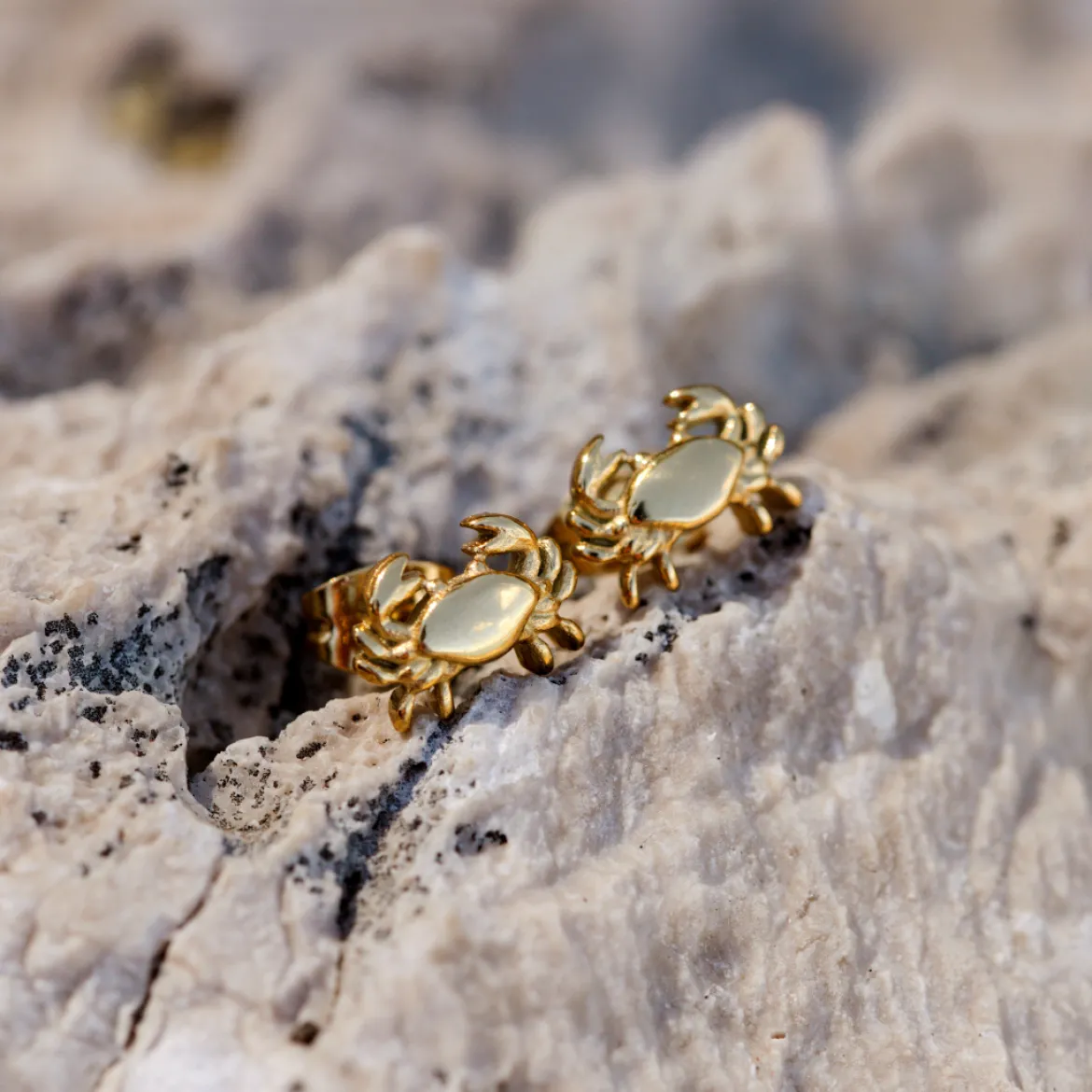 Crab Chaser Studs Silber