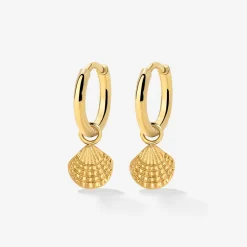 Cute Shell Hoop Set Gold