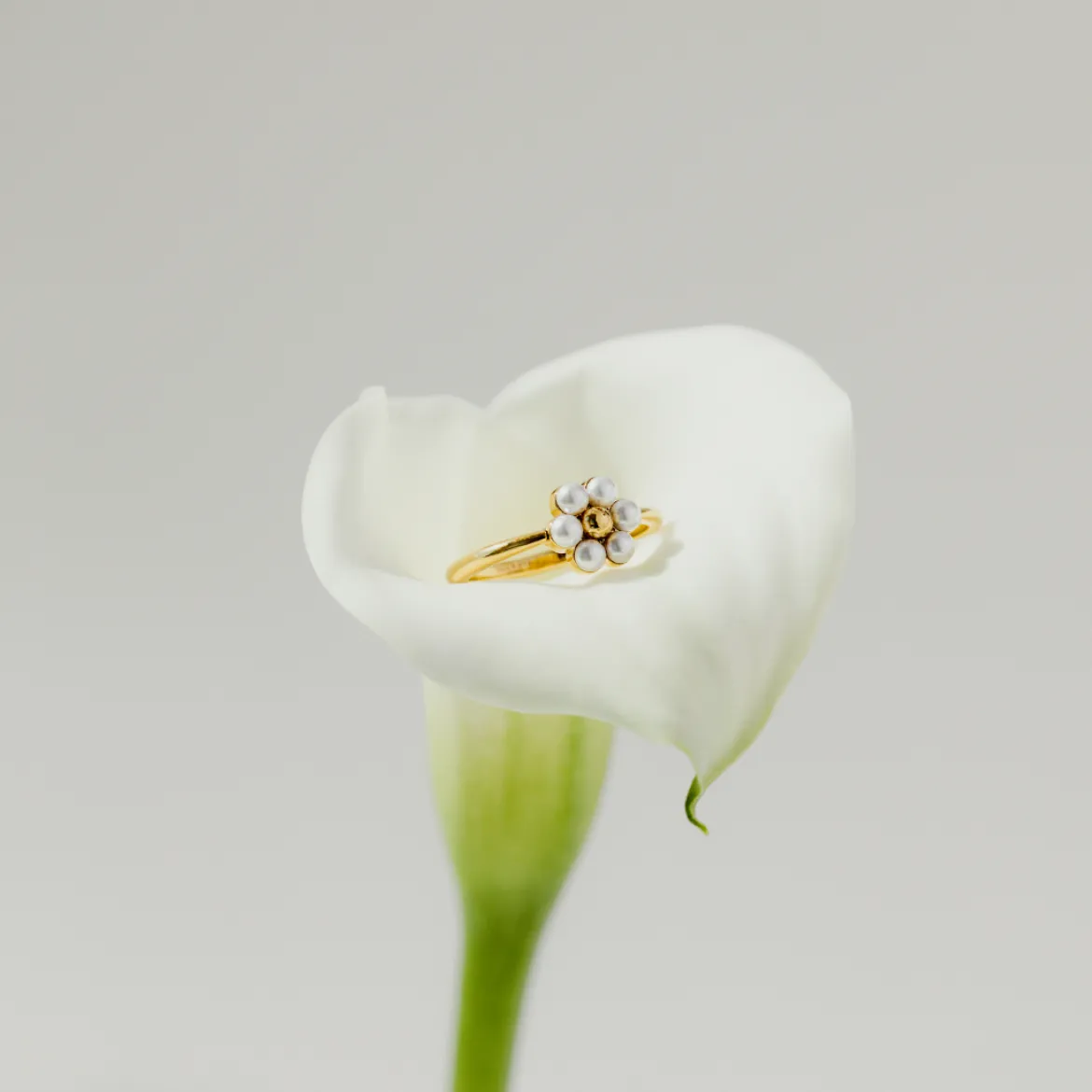 Daisy Ring Gold