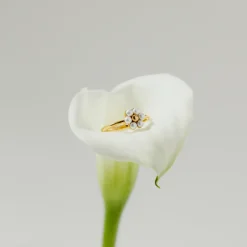 Daisy Ring Silber
