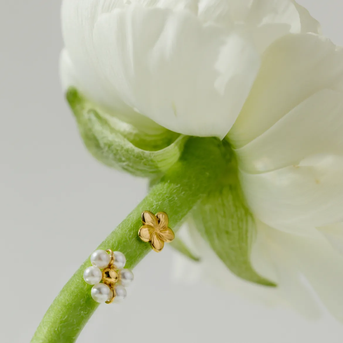 Daisy Studs Roségold