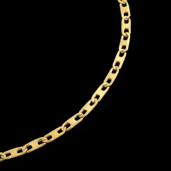 Delicate Choker Gold