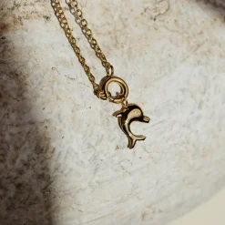 Dolphin Classic Chain Necklace Set Silber
