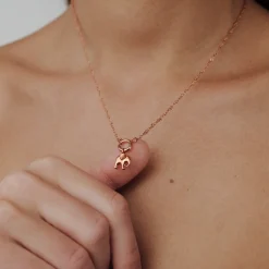 Elephant Singapore Chain Necklace Set Roségold