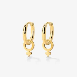 Female Icon Hoop Set Small Gold