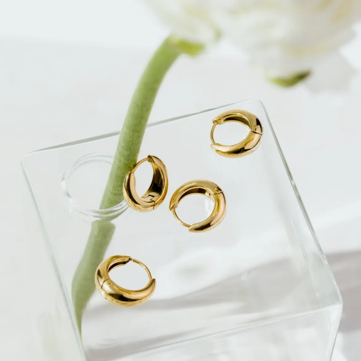 Gilded Curve Hoops Gold