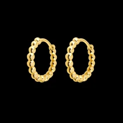 Pellet Hoops Gold