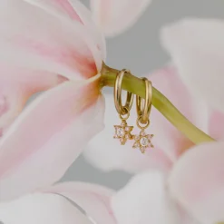 Pink Petal Hoop Set Small Gold