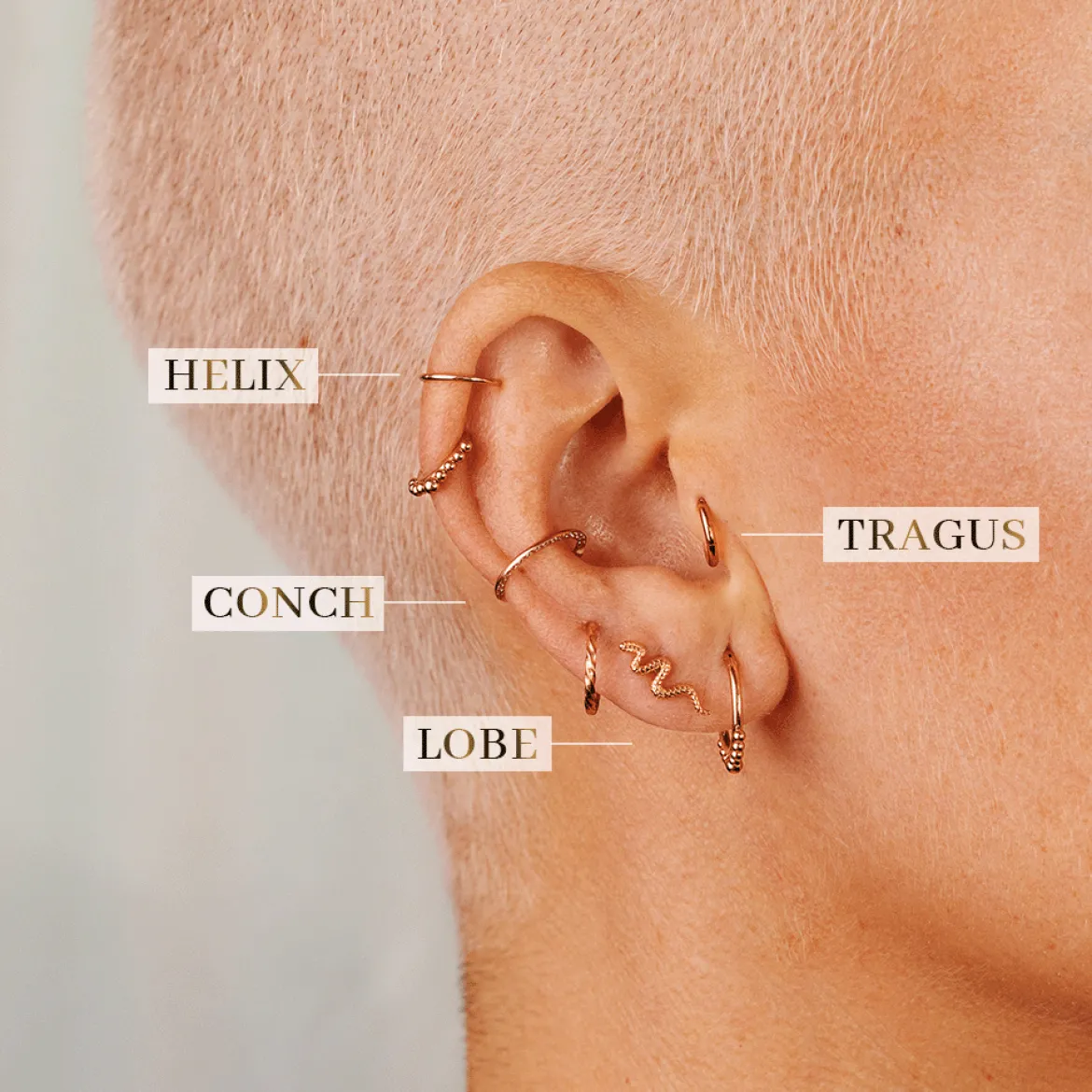 Radiant Flower Piercing Stud Roségold