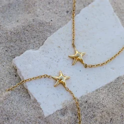 Sea Star Choker Roségold