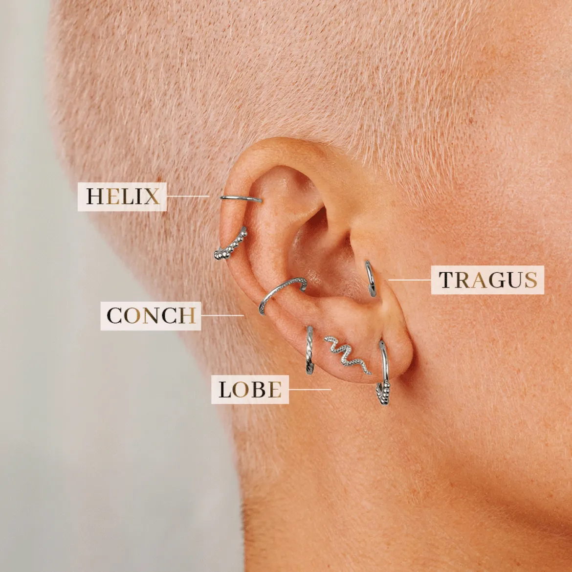 Snake Piercing Silber