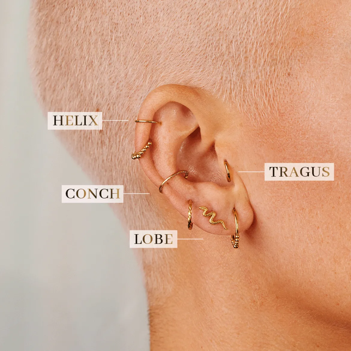 Sparkle Piercing Stud Gold