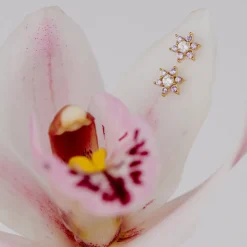 Sparkling Purple Petal Studs Gold