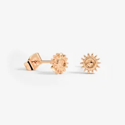Sun Lover Studs Roségold