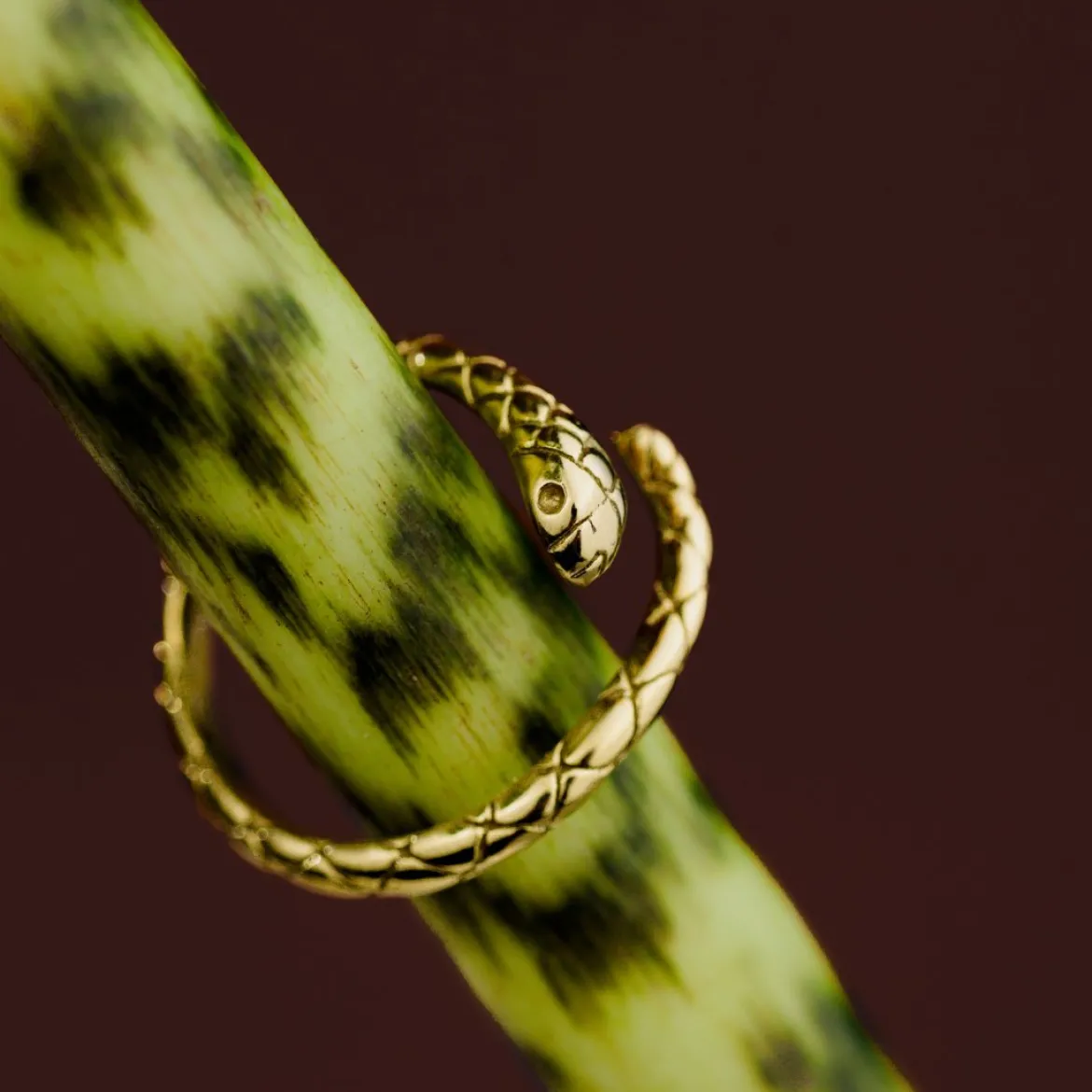 Vipers Ring Gold