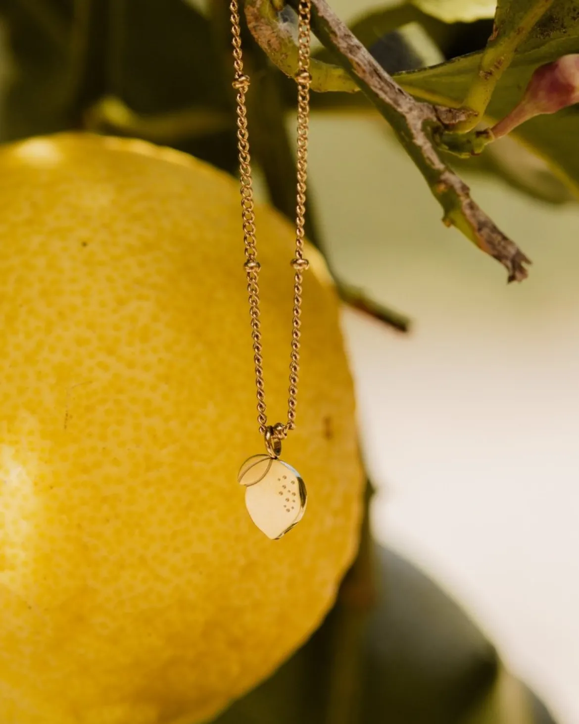 When Life gives you Lemons Necklace Roségold