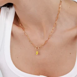Zesty Oval Links Necklace Set Roségold