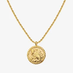 Zodiac Sign Necklace Gold - Steinbock