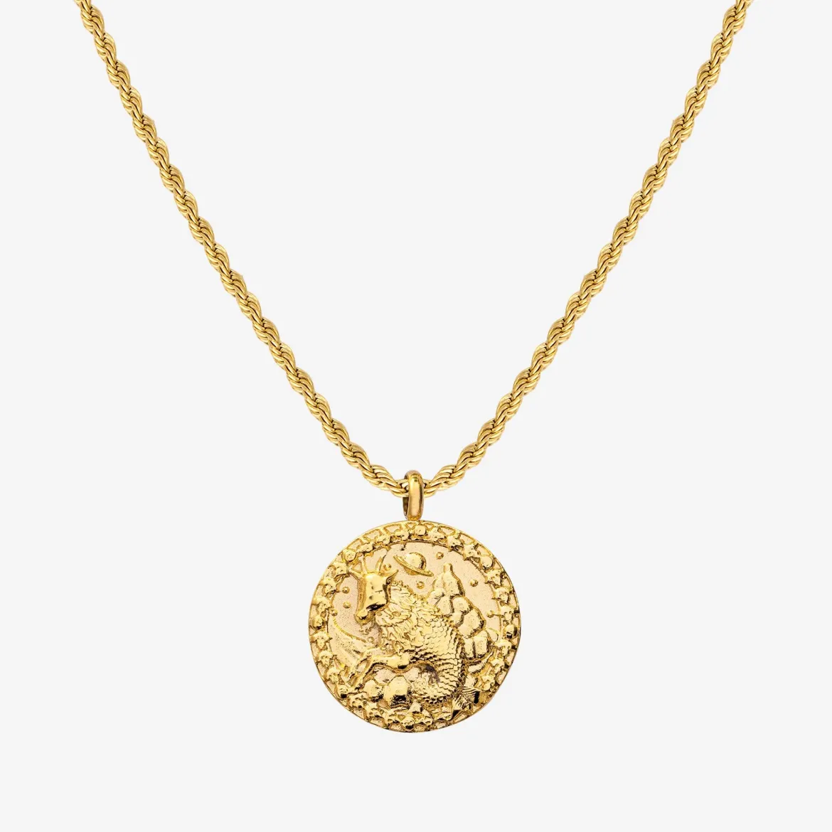 Zodiac Sign Necklace Gold - Steinbock