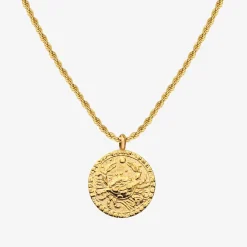 Zodiac Sign Necklace Gold - Steinbock