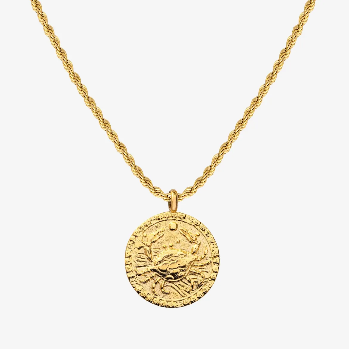 Zodiac Sign Necklace Gold - Steinbock