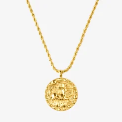Zodiac Sign Necklace Gold - Steinbock