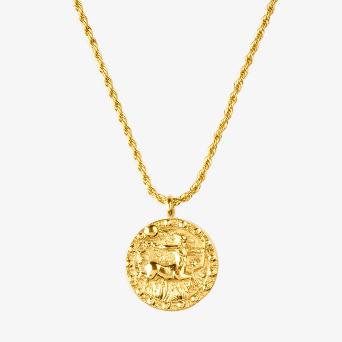 Zodiac Sign Necklace Gold - Steinbock