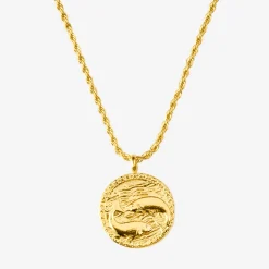 Zodiac Sign Necklace Gold - Steinbock