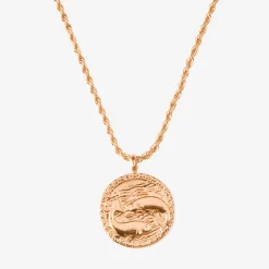 Zodiac Sign Necklace Roségold - Steinbock