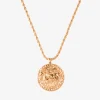 Zodiac Sign Necklace Roségold - Steinbock