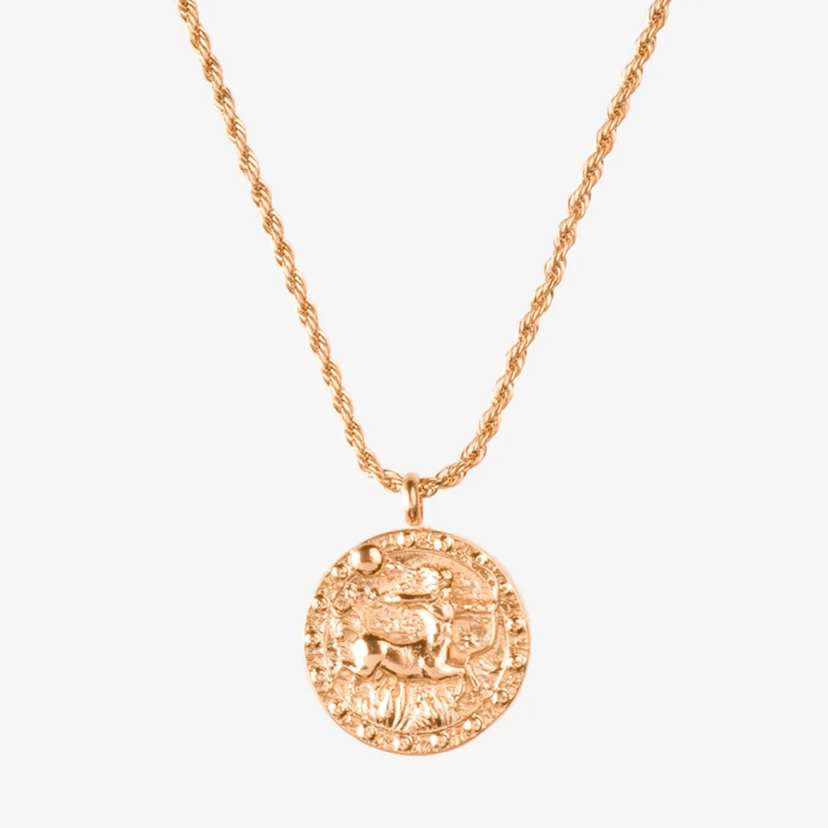 Zodiac Sign Necklace Roségold - Steinbock