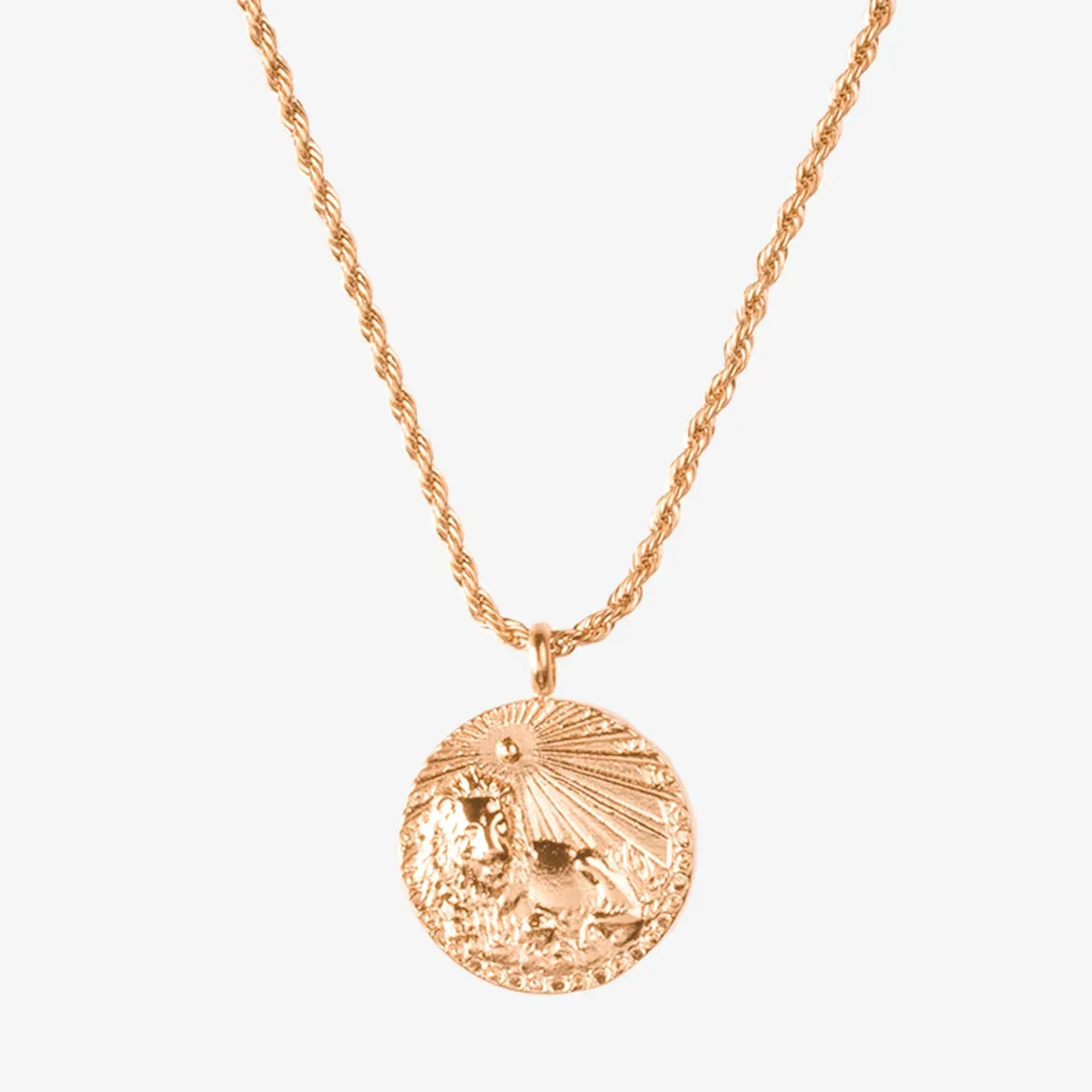 Zodiac Sign Necklace Roségold - Steinbock