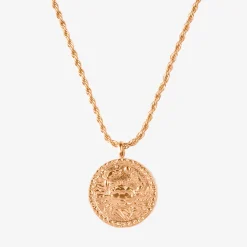 Zodiac Sign Necklace Roségold - Steinbock