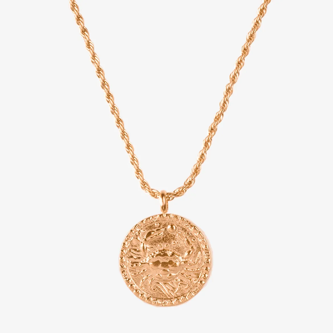Zodiac Sign Necklace Roségold - Steinbock