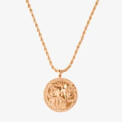 Zodiac Sign Necklace Roségold - Steinbock