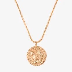 Zodiac Sign Necklace Roségold - Steinbock