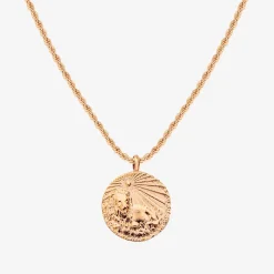 Zodiac Sign Necklace Roségold - Steinbock
