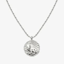 Zodiac Sign Necklace Silber - Steinbock