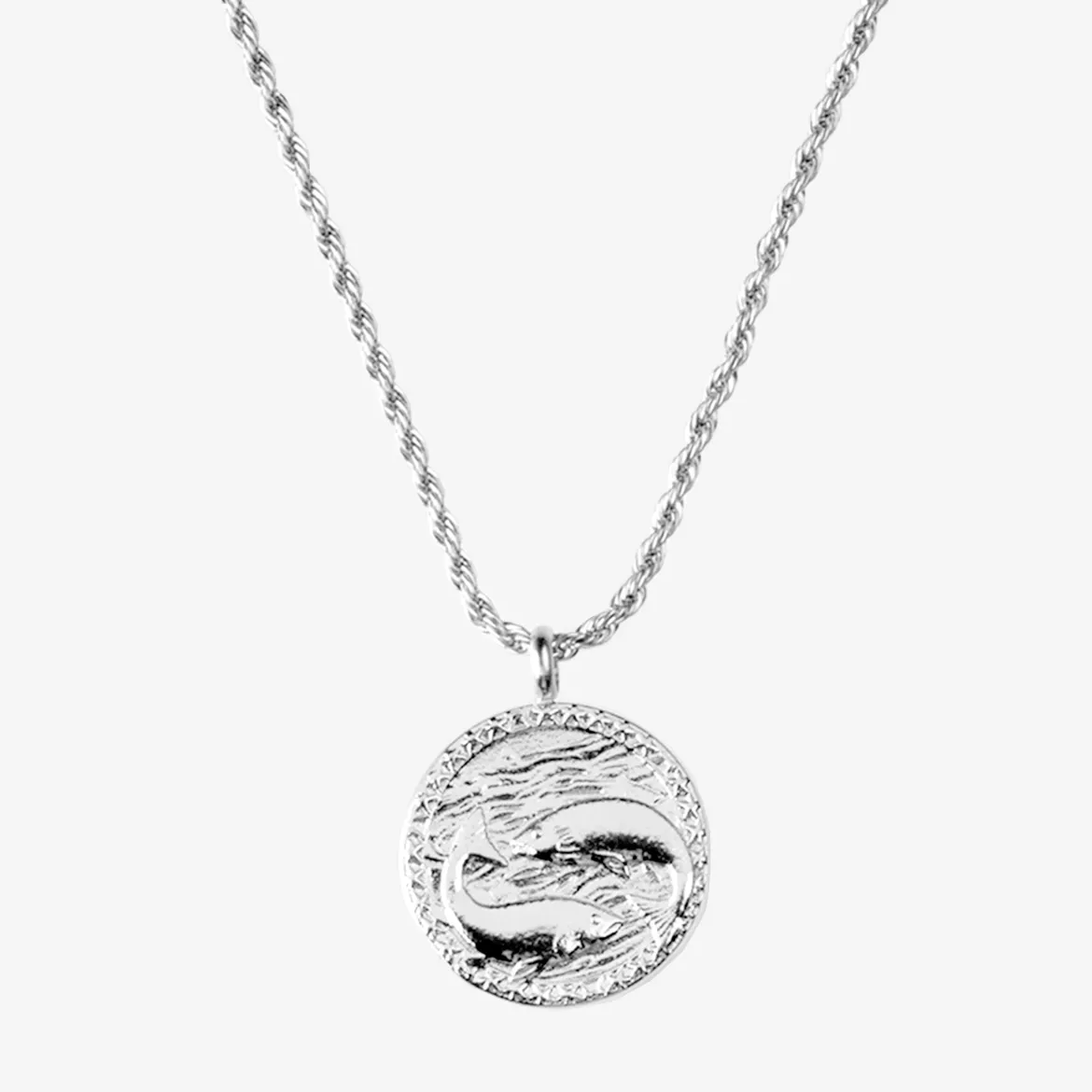 Zodiac Sign Necklace Silber - Steinbock