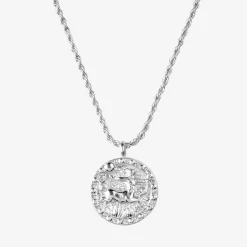 Zodiac Sign Necklace Silber - Steinbock
